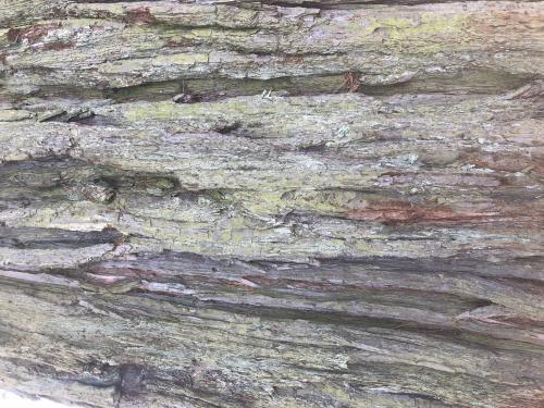 Aumont-Aubrac [16-04-2022](IMG_4818).jpg